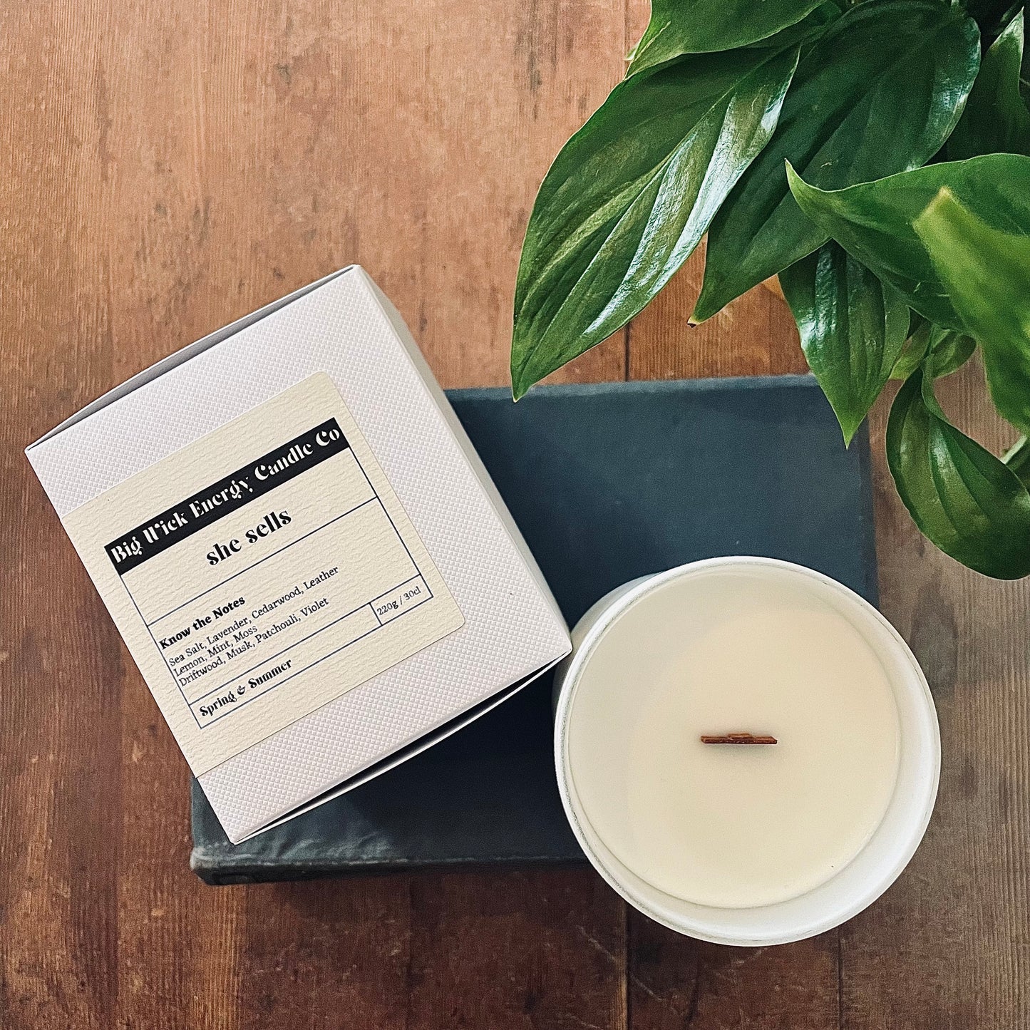 she sells - sea salt and driftwood